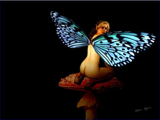 Illustration for article titled Girl Faeries